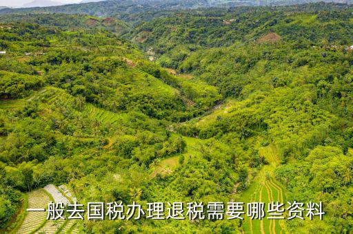 稅務(wù)局退稅要什么手續(xù)，一般去國(guó)稅辦理退稅需要哪些資料
