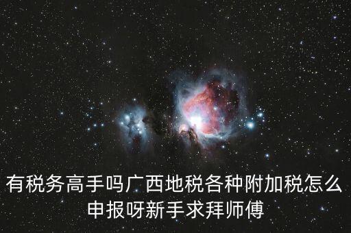 廣西地稅每個月要申報什么內(nèi)容，有稅務(wù)高手嗎廣西地稅各種附加稅怎么申報呀新手求拜師傅