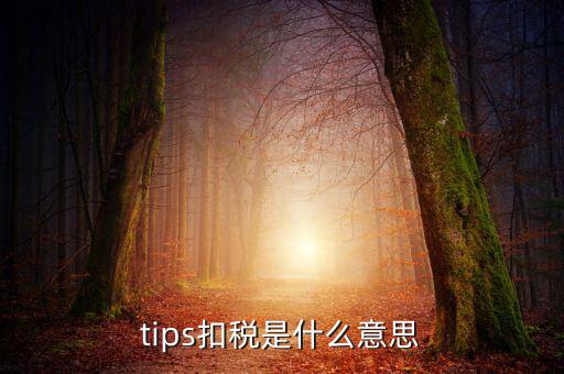 國(guó)稅tips系統(tǒng)指什么意思，電子對(duì)賬單上摘要一欄寫(xiě)有tips是什么意思