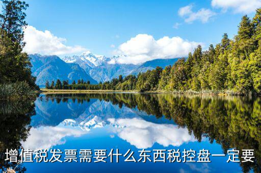 發(fā)票打印需要什么盤，調(diào)試打印增值稅發(fā)票的打印機要插入金稅盤嗎