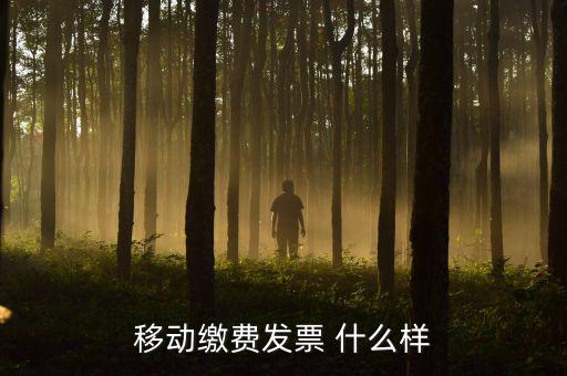 移動電子發(fā)票什么樣，移動繳費(fèi)發(fā)票 什么樣