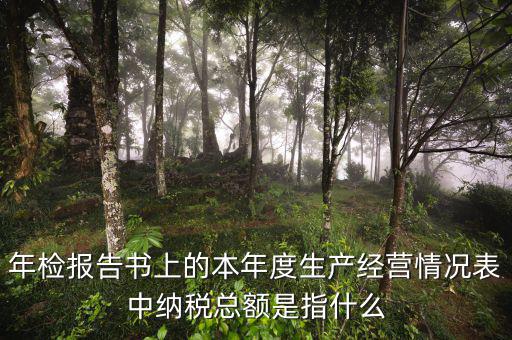 年報的納稅額看什么表，年檢報告書上的本年度生產(chǎn)經(jīng)營情況表中納稅總額是指什么