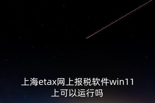 上海網(wǎng)上報稅什么軟件，上海etax網(wǎng)上報稅軟件win11上可以運(yùn)行嗎