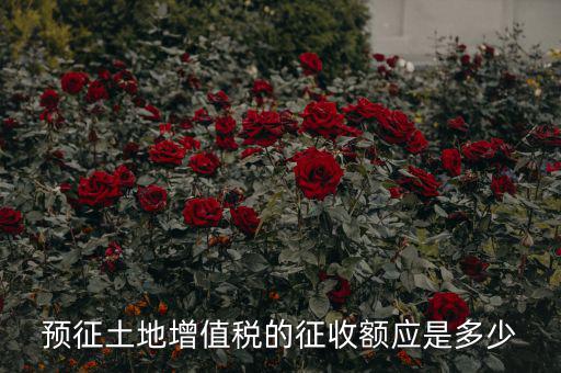 什么叫預征土地，什么是預征稅