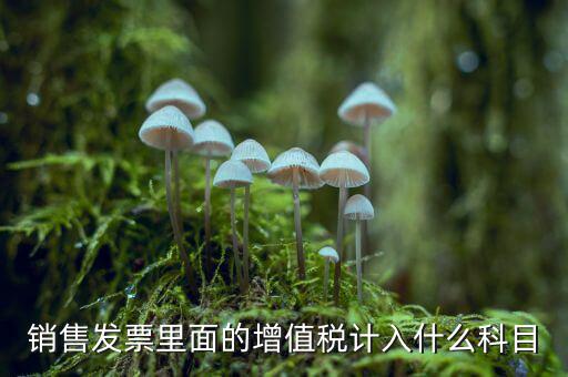發(fā)票稅金入什么科目，開票稅金計入什么科目