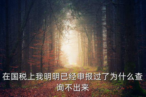 在國稅上我明明已經申報過了為什么查詢不出來