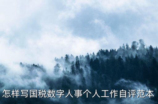 國(guó)稅數(shù)字人事是什么，專業(yè)的除了可以考會(huì)計(jì)證和證券從業(yè)資格證以為還可以考什么證