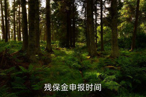 2016殘保金什么時(shí)候交，殘保金是一年一交嗎