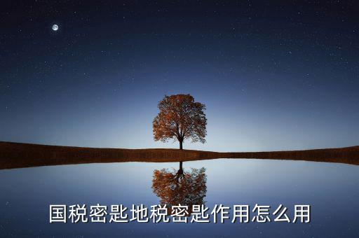 地稅密鑰是干什么的，國稅密匙地稅密匙作用怎么用
