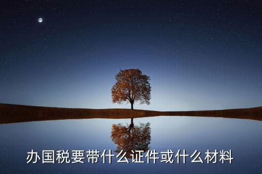 新辦國(guó)稅需要什么資料，第一次買國(guó)稅發(fā)票需要些什么手續(xù)