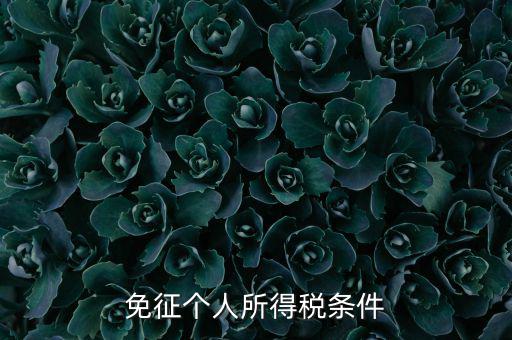 四業(yè)免征個(gè)人所得稅有什么要求，個(gè)人所得稅減免稅有哪些要求