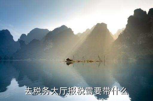 去地稅大廳解決欠稅問題需帶什么資料及文件，去稅務大廳查詢公司欠的增值稅需帶啥資料