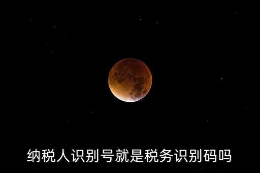 稅務(wù)標(biāo)識符是什么意思，納稅人識別碼是什么
