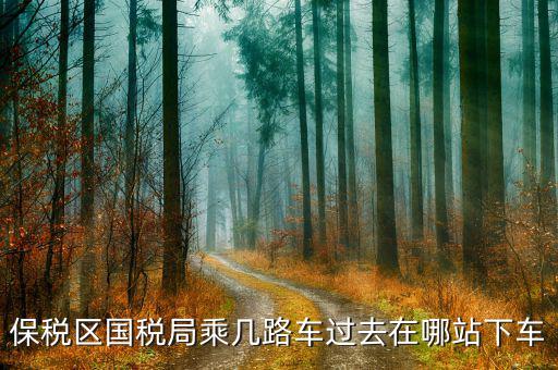 深圳市保稅區(qū)地稅局做什么車，深大北門到深圳市保稅區(qū)地稅局怎么走