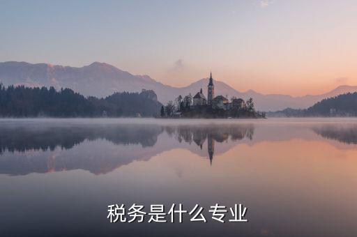 中文專業(yè)和稅務(wù)專業(yè)沒什么關(guān)系啊，稅務(wù)專業(yè)有哪些相近專業(yè)