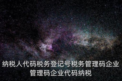 納稅人管理代碼是什么，納稅人代碼稅務(wù)登記號(hào)稅務(wù)管理碼企業(yè)管理碼企業(yè)代碼納稅