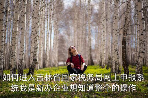 如何進入吉林省國家稅務局網上申報系統(tǒng)我是新辦企業(yè)想知道整個的操作