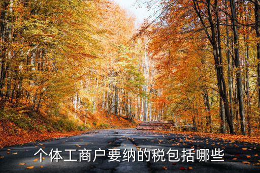 個體戶需要交什么稅，個體工商戶需要鈉哪些稅呢