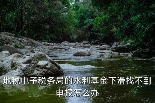 地稅電子稅務局的水利基金下滑找不到申報怎么辦