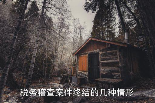 什么是稽查結(jié)案，稅務(wù)稽查案件終結(jié)的幾種情形