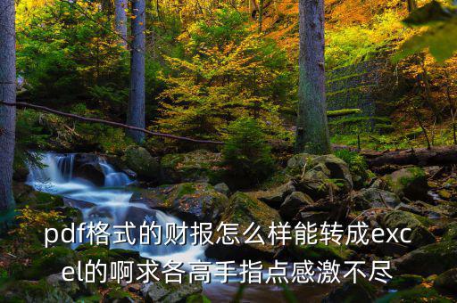 什么是財報自動轉換工具，pdf格式的財報怎么樣能轉成excel的啊求各高手指點感激不盡