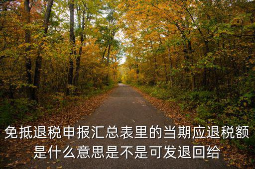 免抵退稅申報匯總表里的當期應退稅額是什么意思是不是可發(fā)退回給