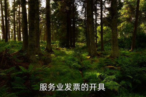 服務(wù)行業(yè)用什么發(fā)票，服務(wù)業(yè)發(fā)票的開具