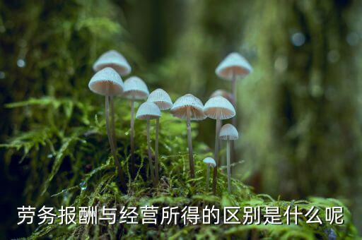 勞務報酬與經營所得的區(qū)別是什么呢