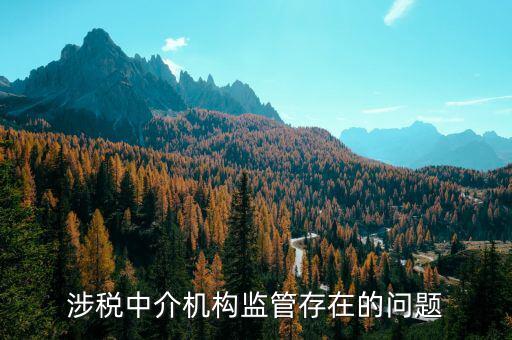 社會組織涉稅方面有什么問題，涉稅中介機構(gòu)監(jiān)管存在的問題