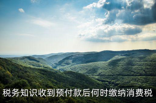 消費(fèi)稅是什么時(shí)候交，各種稅費(fèi)交納時(shí)間