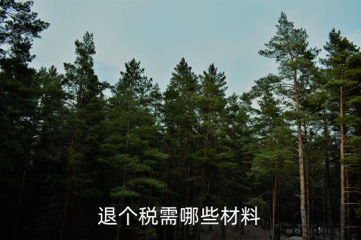 退抵稅需要什么，退抵稅款申請(qǐng)需要什么資料