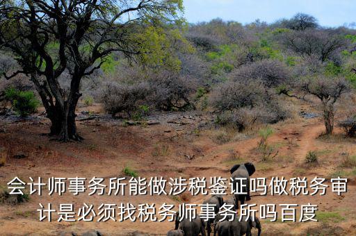 會計(jì)師事務(wù)所能做涉稅鑒證嗎做稅務(wù)審計(jì)是必須找稅務(wù)師事務(wù)所嗎百度
