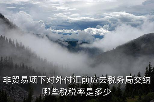 為什么非貿(mào)易付匯要繳稅，公司剛剛做了筆非貿(mào)易付匯紅利股息匯出問一下匯出金額是要扣