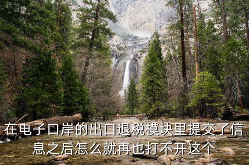 為什么退稅平臺(tái)進(jìn)不去，在電子口岸的出口退稅模塊里提交了信息之后怎么就再也打不開(kāi)這個(gè)
