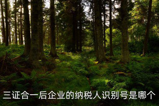 三證合一的納稅人識別號是什么，三證合一后企業(yè)的納稅人識別號是哪個(gè)