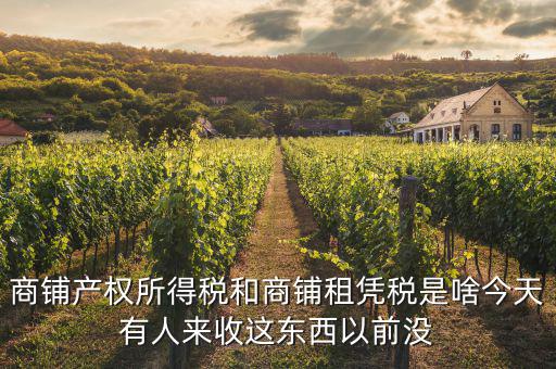 什么是商鋪?zhàn)赓U稅，商鋪出租應(yīng)交哪些稅