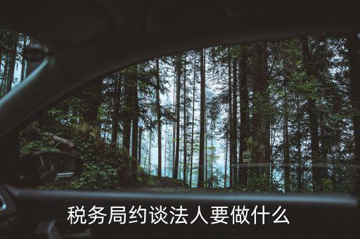 稅務(wù)異常約談法定代表干什么，稅務(wù)局約談法人要做什么