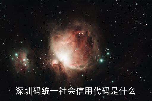 統(tǒng)一社會信用代碼是指什么不同，深圳碼統(tǒng)一社會信用代碼是什么
