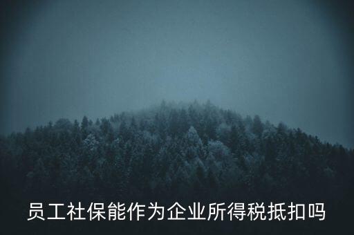 企業(yè)社?？梢缘质裁炊?，員工社保能作為企業(yè)所得稅抵扣嗎