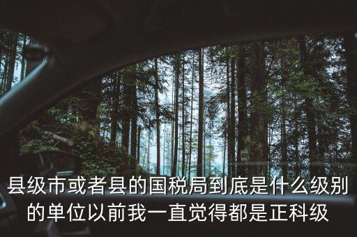 縣國稅局辦稅服務廳主任是什么級別，縣地稅局辦公室主任是什么行政級別