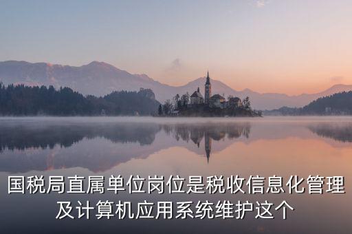 國稅局直屬單位崗位是稅收信息化管理及計(jì)算機(jī)應(yīng)用系統(tǒng)維護(hù)這個