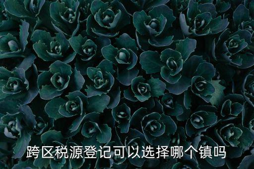 跨區(qū)稅源登記是什么，跨區(qū)稅源登記能否登記為一般納稅人