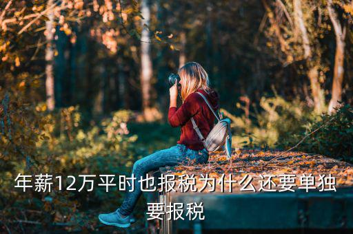 年薪12萬(wàn)平時(shí)也報(bào)稅為什么還要單獨(dú)要報(bào)稅