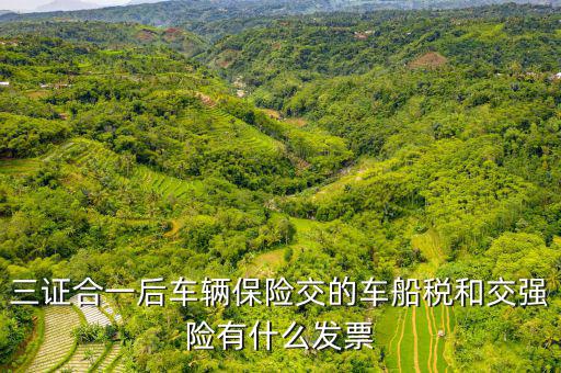 繳納車船稅有什么票，三證合一后車輛保險交的車船稅和交強(qiáng)險有什么發(fā)票