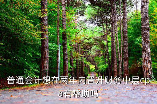 國稅有什么升職路線，普通會計想在兩年內(nèi)晉升財務中層cpa有幫助嗎