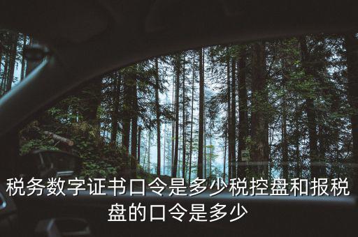 國稅證書口令是什么，我想問下國家稅務(wù)網(wǎng)上申報(bào)點(diǎn)擊安全登錄時(shí)出現(xiàn)的用戶口令是什么