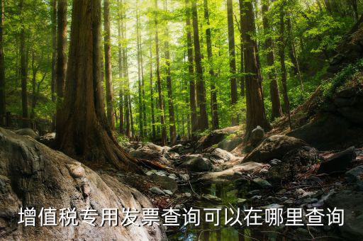 什么地方可以查發(fā)票內(nèi)容，怎樣通過發(fā)票號(hào)碼查尋發(fā)票內(nèi)容