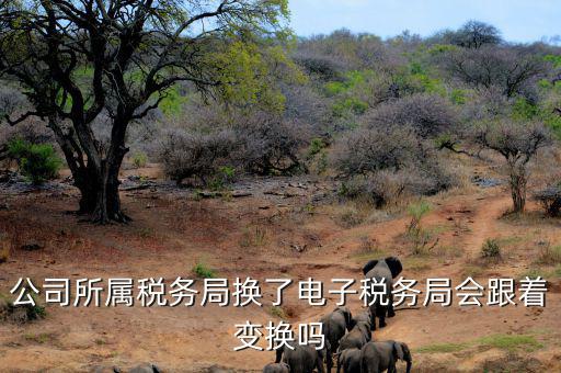 電子稅務(wù)局是什么時(shí)候變更的，公司所屬稅務(wù)局換了電子稅務(wù)局會(huì)跟著變換嗎