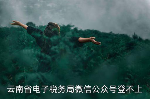 為什么云南省國家稅務局進不去，云南省電子稅務局微信公眾號登不上