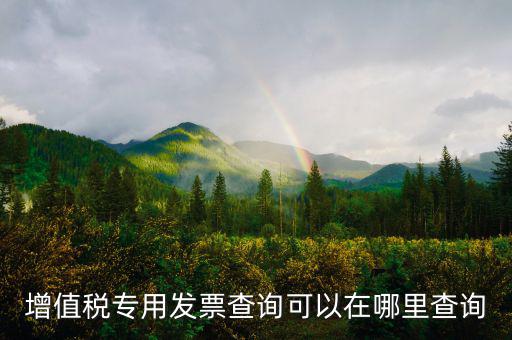 在什么網(wǎng)站查發(fā)票，發(fā)票查驗(yàn)在哪里查
